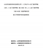 山東祥東新材料科技有限公司1.2萬噸/年6-叔丁基鄰甲(60K)、4-叔丁基鄰甲酚(偏 24 酚)和 4，6-二叔丁基鄰甲酚(偏 246 酚)烷基甲酚項目竣工環(huán)境保護驗收監(jiān)測報告